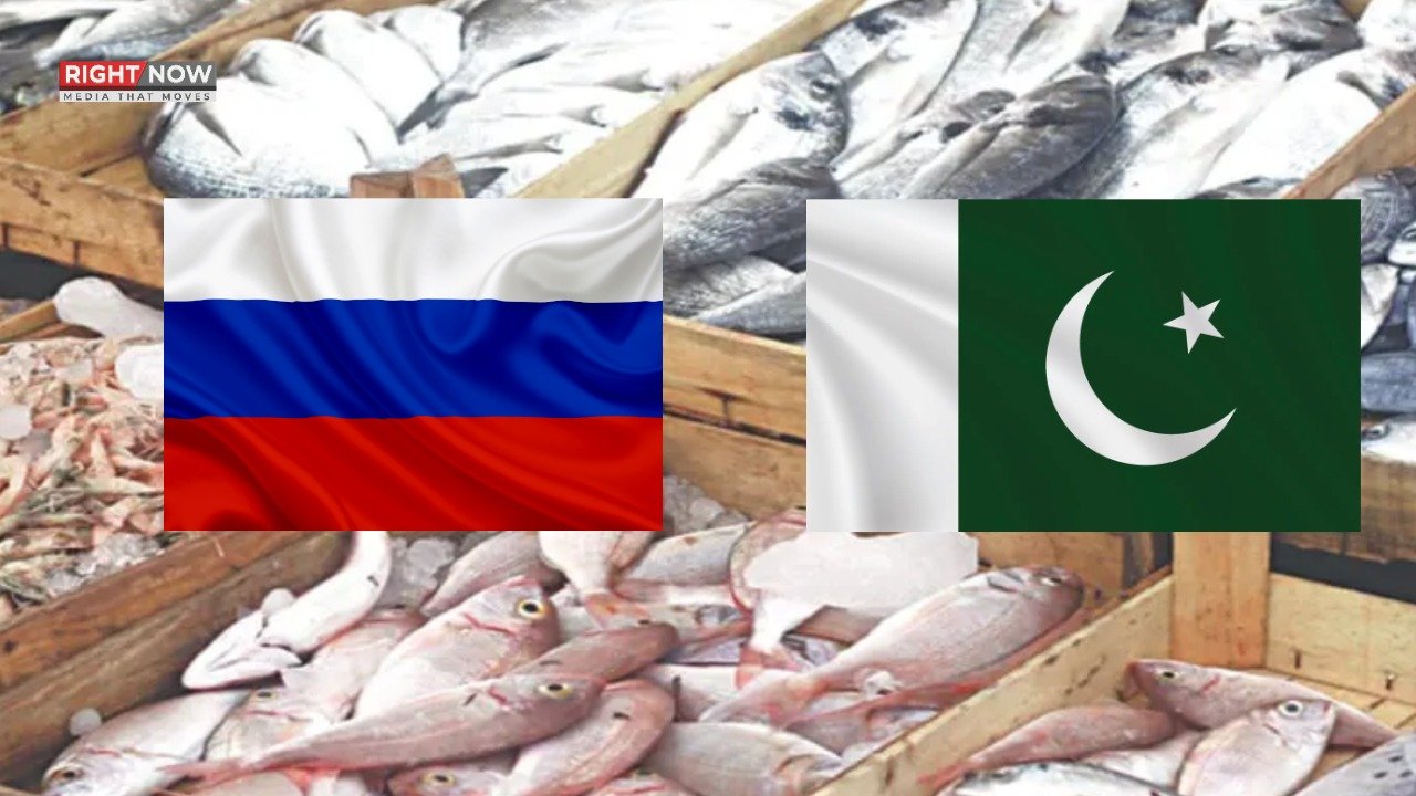 پاکستانی سی فوڈ کی روس کو برآمدات کی اجازت، 800 ملین ڈالر کا ہدف