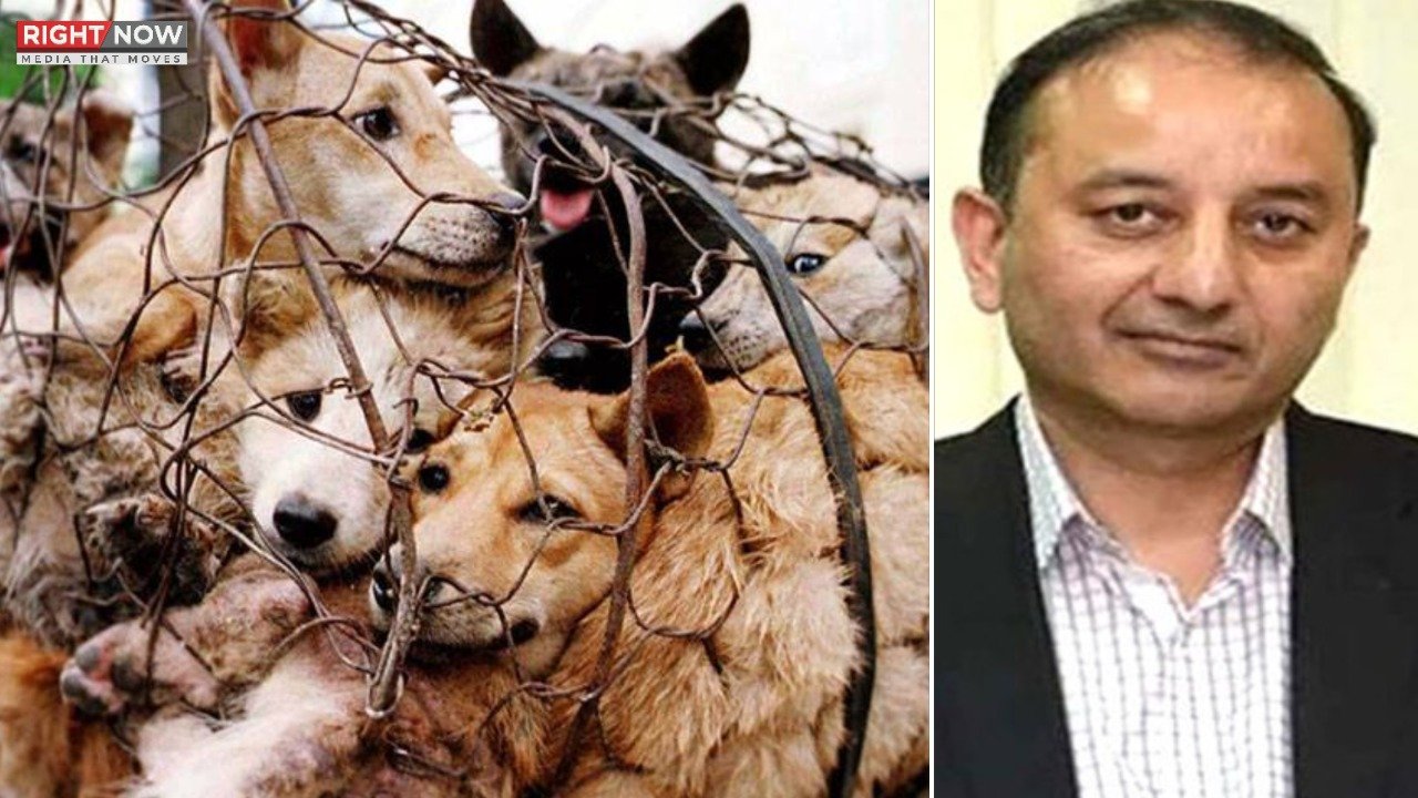 حکومت، جانوروں پر ظلم کی روک تھام کیلئے کمیٹی قائم