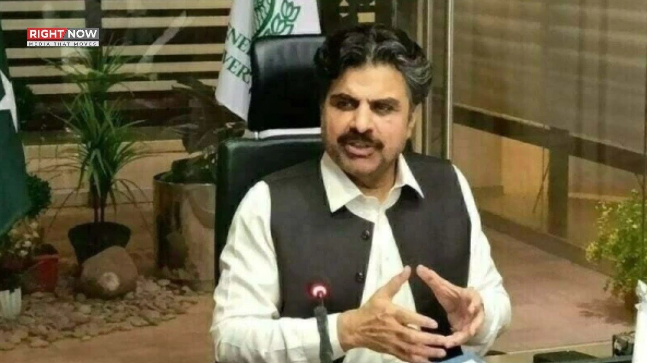 ناصر حسین شاہ، پاکستان میں امن کے دشمن عناصر کی نشاندہی