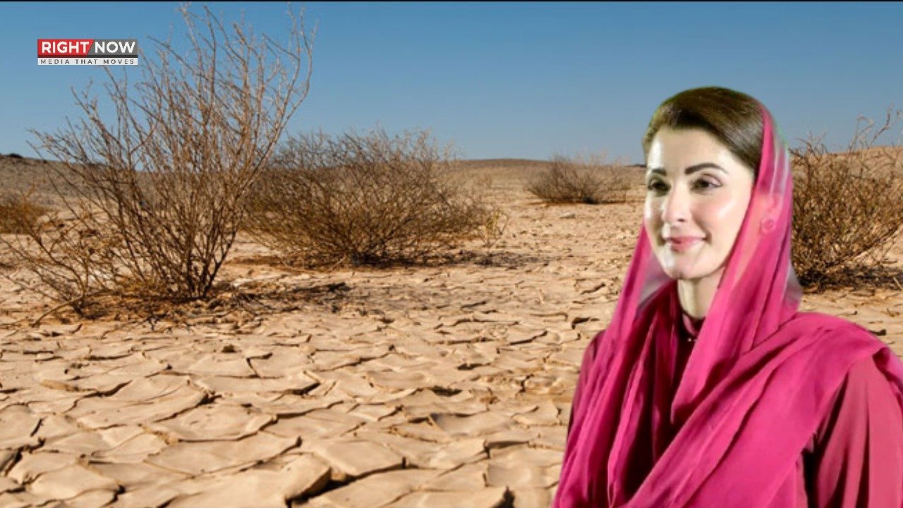 پنجاب میں شرمپ فارمنگ، بنجر زمینیں معاشی زونز میں تبدیل