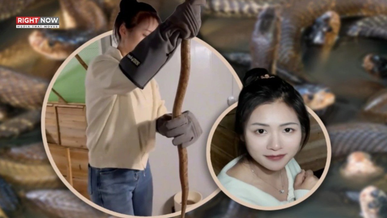 چینی خاتون، سانپ پال کر سالانہ 4 کروڑ روپے کمانے والی