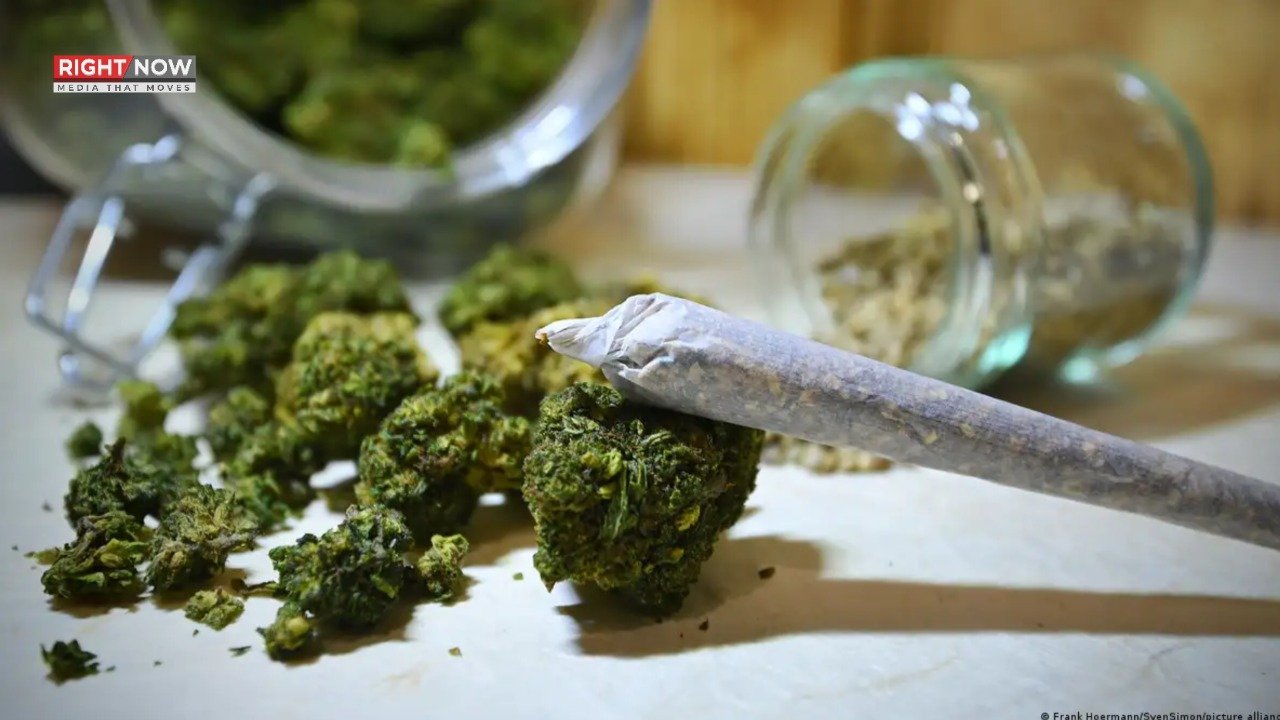 بھنگ کا عالمی استعمال 24 کروڑ افراد تک پہنچ گیا