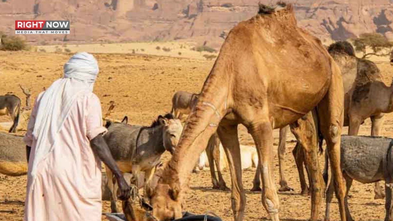 چاڈ میں پانی پر جھڑپوں میں 42 ہلاک