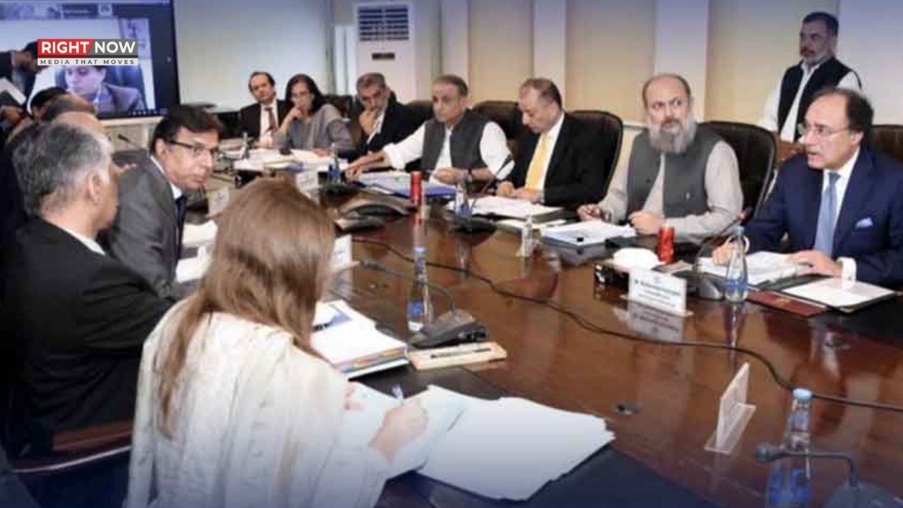 ای سی سی نے عارضی درآمد اسکیم اور گوادر سے گدھے کے گوشت کی برآمد کی منظوری دی