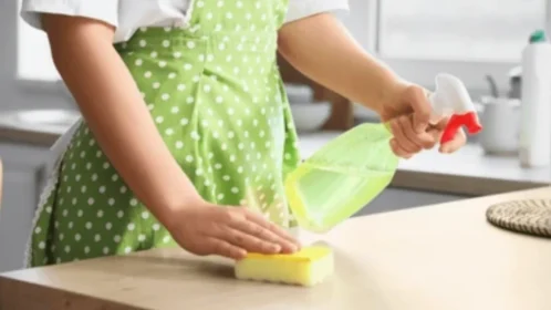 کیا آپ کا کچن اسپنج ٹوائلٹ سیٹ سے بھی زیادہ آلودہ ہو سکتا ہے؟