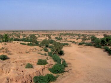 چولستان میں پانی کا بحران آخر اتنا سنگین کیوں ہے؟