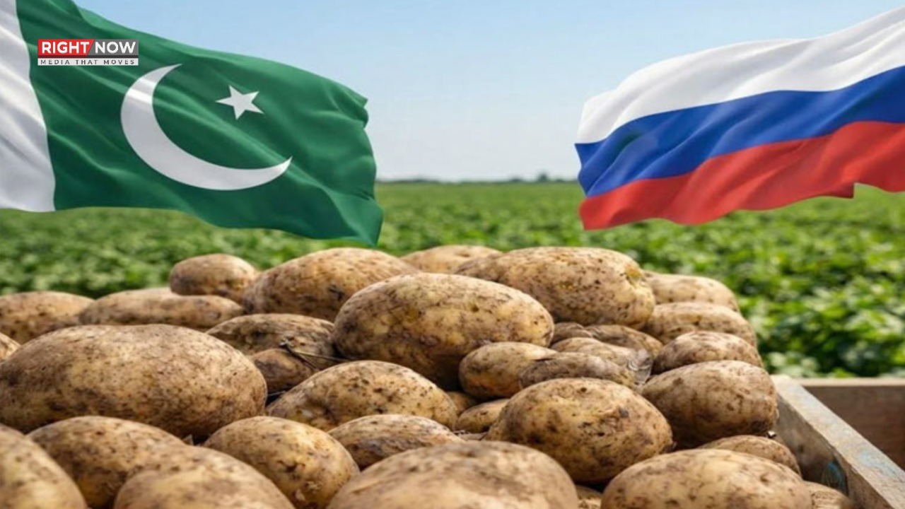 روس نے پاکستانی آلو کی درآمد پر پابندی میں نرمی کی، 101 کمپنیوں کو اجازت