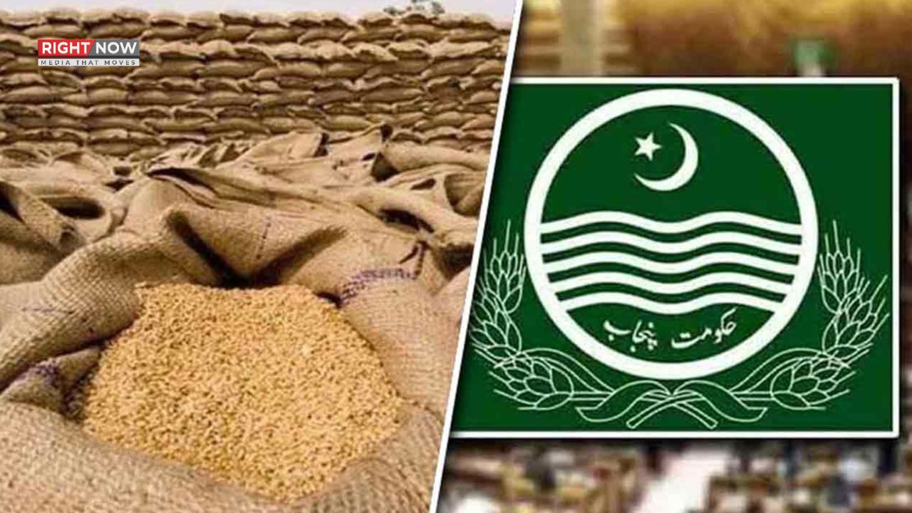 وفاقی حکومت کا 10 لاکھ ٹن گندم درآمد کرنے کا فیصلہ، مارکیٹ استحکام کا اقدام