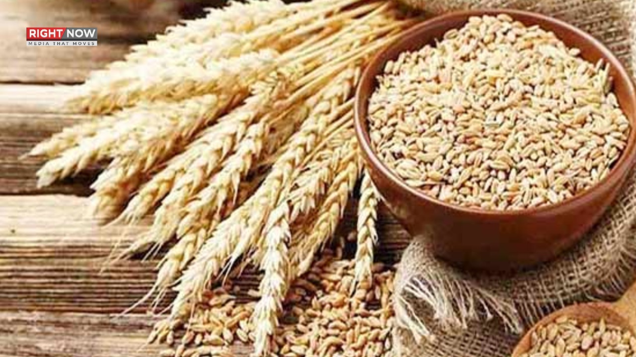 پنجاب حکومت کی گندم کی قیمت میں تبدیلی، عوامی ریلیف کی کوشش