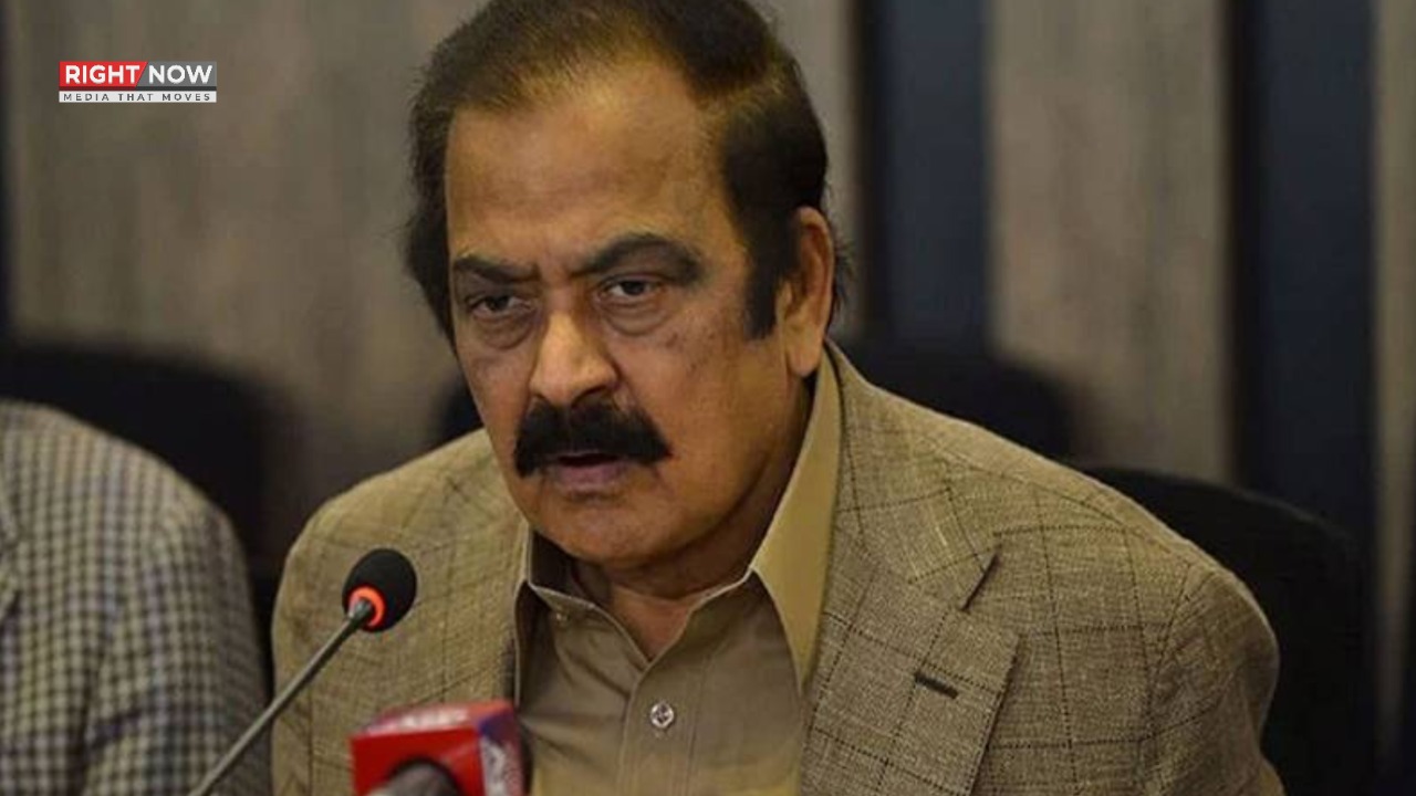 پیپلز پارٹی وفاق میں اسی تنخواہ پر کام کرے گی، مسلم لیگ ن نے 24 سیٹیں حاصل کرلیں
