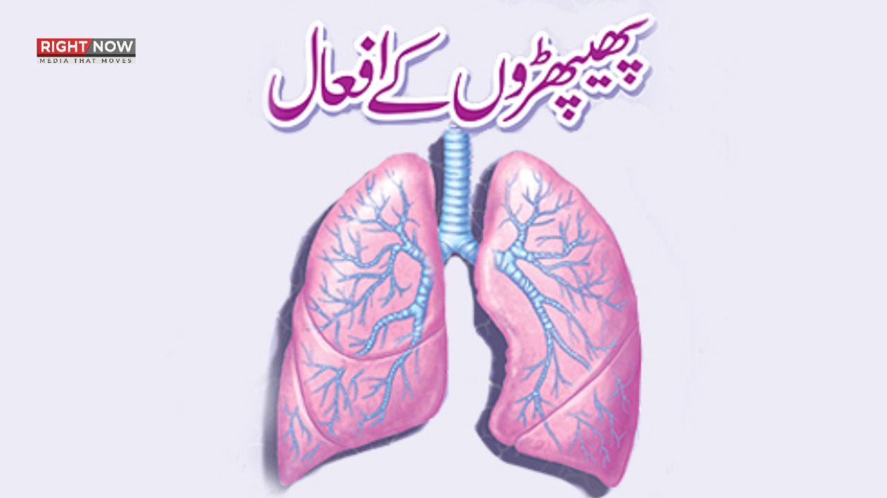 ایک پھیپھڑے کے ساتھ زندگی ممکن، ماہرین صحت نے وضاحت پیش کر دی