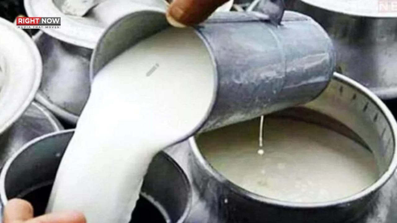 دودھ کی خالصیت پر سوالات، ملاوٹ کی پہچان کے گھریلو طریقے