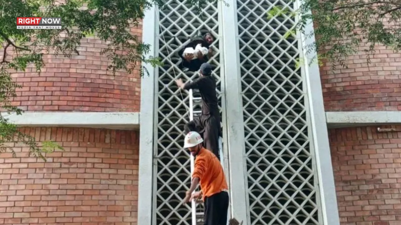 پمز حادثے میں بچنے والی واحد بچی ایزل کی حالت تشویشناک، والدین کی دعا کی اپیل